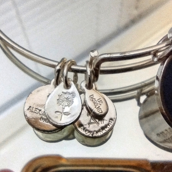 Alex And Ani Endless Knot 2014 Bangle - Picture 4 of 5